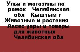 Ульи и магазины на 16 рамок - Челябинская обл., Кыштым г. Животные и растения » Аксесcуары и товары для животных   . Челябинская обл.